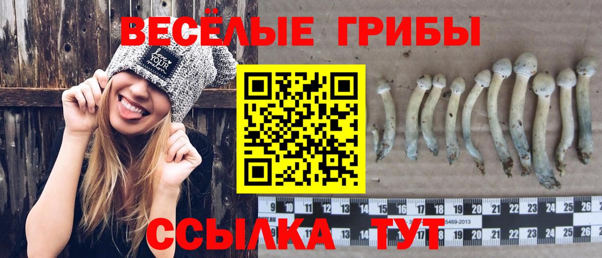 Галлюциногенные грибы Psilocybe  Вход с VPN  закладка  Братск 